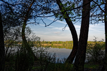 Etang de Bellebouche, Mézières-en-Brenne, Centre, France