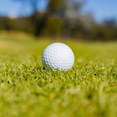 Golf Ball on a Fairway green at a golf course