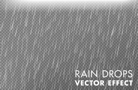 Rain drops on the transparent background - Vector effect 2