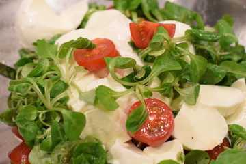 Salat mit frischem Feldsalat, Tomaten und Mozzarella