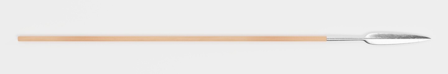 Realistic 3d Render of Viking Spear