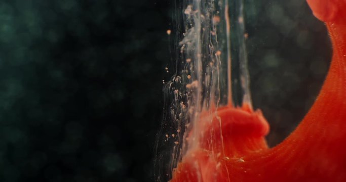 Art object with paints,  abstraction. Macro. 4K.
