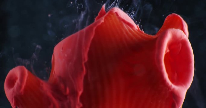 Art object with paints,  abstraction. Macro. 4K.
