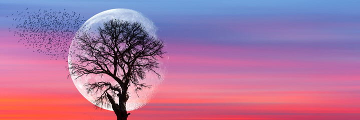 Silhouettes d& 39 oiseaux en vol et d& 39 arbre mort au coucher du soleil &quot Éléments de cette image fournis par la NASA&quot 