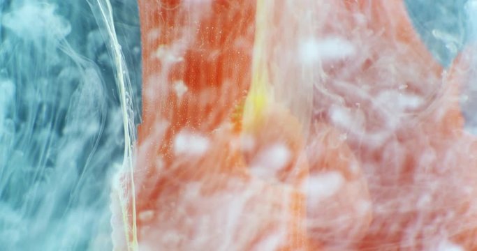 Art object with paints,  abstraction. Macro. 4K.
