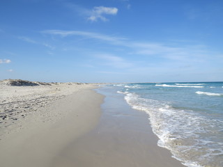 Deserted sandy beach in Tunisia, sand and shells