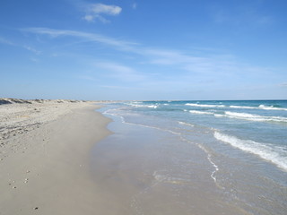 Deserted sandy beach in Tunisia, sand and shells