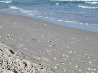 Deserted sandy beach in Tunisia, sand and shells