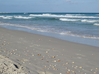 Deserted sandy beach in Tunisia, sand and shells
