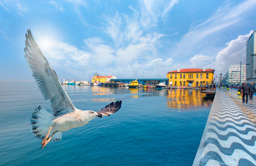Pasaport Pier with seagull - izmir Turkey - obrazy, fototapety, plakaty