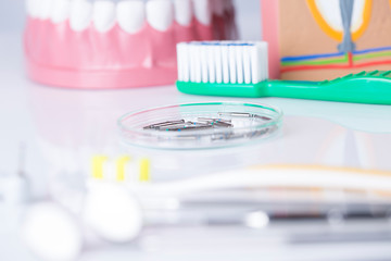 Fototapeta na wymiar Dentist, Dental tools on a white background, Teeth and jaw.
