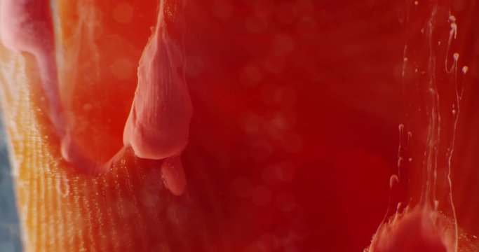 Art object with paints,  abstraction. Macro. 4K.
