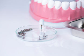 Dentist, Dental tools on a white background, Teeth and jaw.