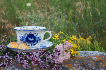 Beautiful cup with herbal tea standing on a stone against a background of green grass. The cup is decorated with cookies and flowers of thyme and St. John's wort
