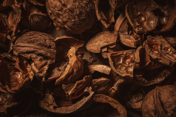 close up view of walnut husk as background