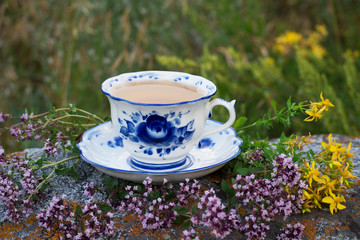 Beautiful cup with herbal tea standing on a stone against a background of green grass. The cup is decorated with cookies and flowers of thyme and St. John's wort