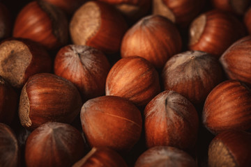 full frame of shelled hazelnuts as backdrop