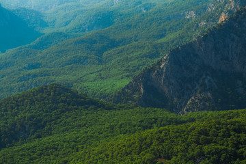Naklejka premium Beautiful aerial view at green woody hills of mountains in Turkey. Hills with thick wood growing. Horizontal color photography.
