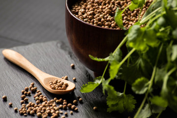 Coriander cilantro seeds and leaves