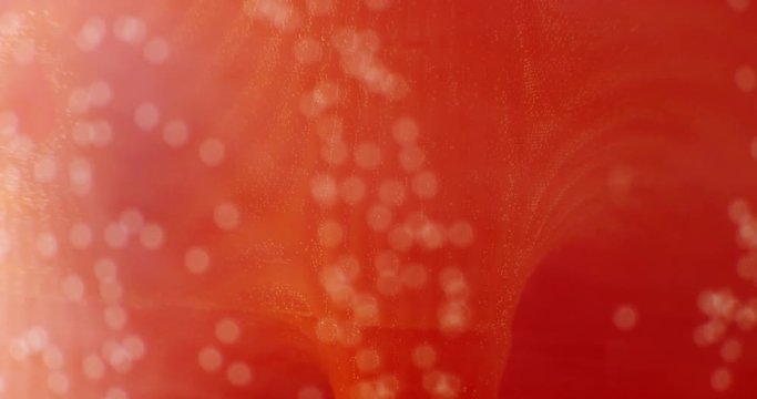 Art object with paints,  abstraction. Macro. 4K.

