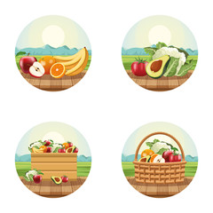 Fototapeta premium Fruits and vegetables