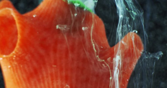 Art object with paints,  abstraction. Macro. 4K.
