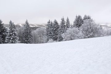 Snow covered trees in the mountains on a winter day in Bavaria, Germany