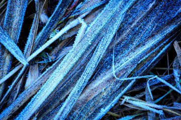 frozen grass background