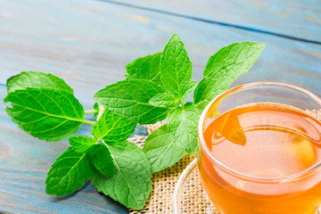 A cup of mint tea on blue wood textured background