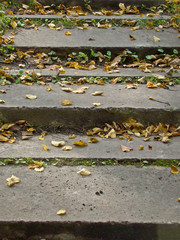 Old stone stairs covered with fallen autumn leaves
