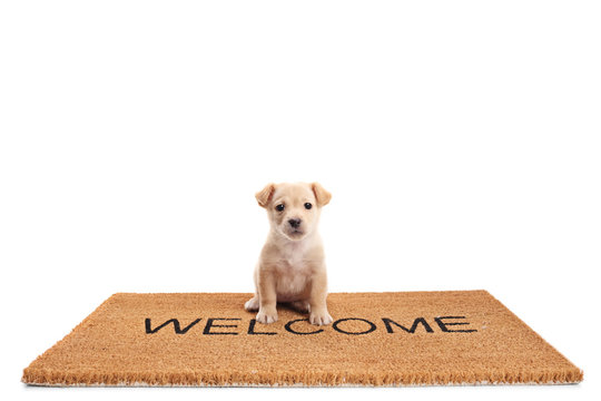 Small puppy dog sitting on a door mat with written text welcome