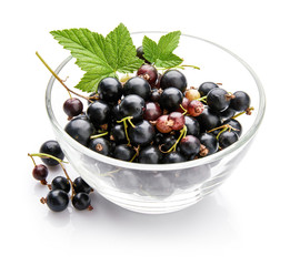 Berry currant in glass dish with green leaves Fruity still life.
