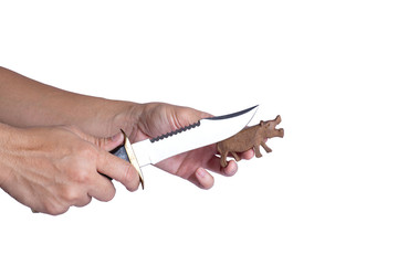 A isolated image of male hands holding a sharp metal knife to carve a wooden animal on white background.