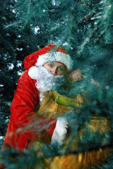 Santa Claus in winter forest, Christmas Tale
