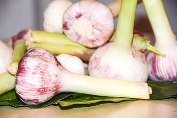 a bunch of young ripened purple garlic lies on green leaves&nbsp;