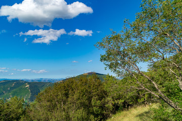 Vista lungo il sentiero 201 da val d'abisso al monte Nerone