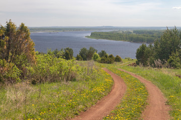 The road on the high bank of the river among dandelions and forest views