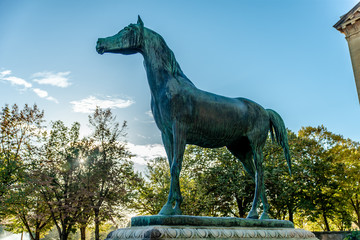 Statue de bronze représentant un cheval pur sang arabe de 1852 du sculpteur animalier Christophe Fratin, situé à Metz, promenade de l’esplanade (Moselle)