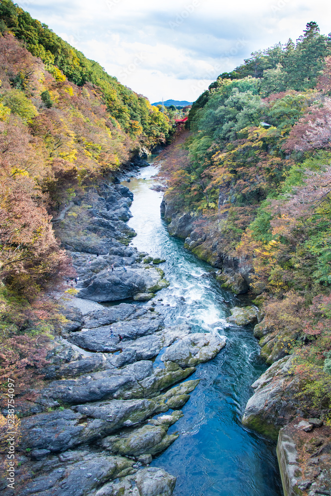 Wall mural takatsudo gorges wrapped in autumn leaves / takatsudo gorges is a valley in takatsudo omama-machi, m