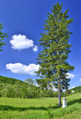 Wayside old stone cross under tree of Low Beskids (Beskid Niski), Poland