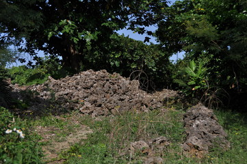 竹富島新里村遺跡