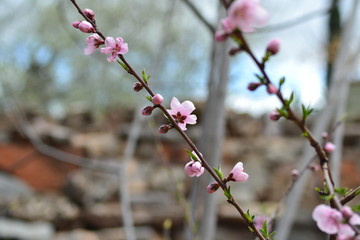 The incredible seascaping view of beach with blue sea in morocco in summer
