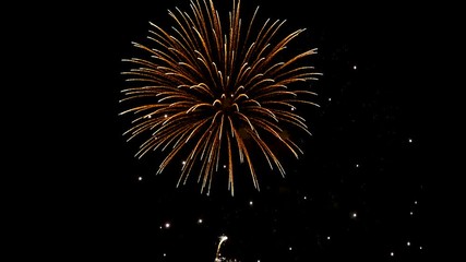 Firework show for celebration