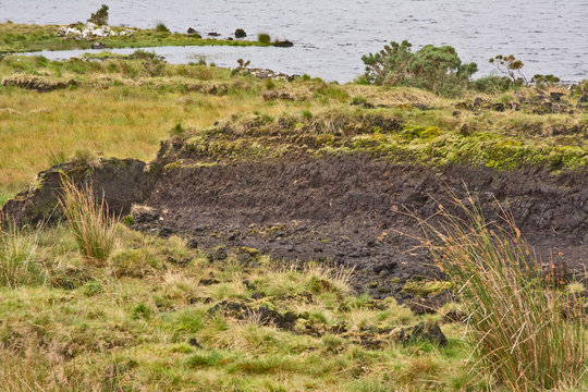 Dug up Peat