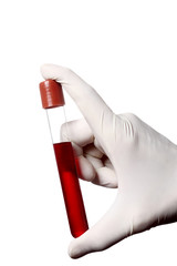 hand with glove holding a blood test tube isolated on white background with clipping path and copy space for your text