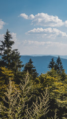 Smartphone HD wallpaper of beautiful view at Hohenbogen summit - Bavaria - Germany
