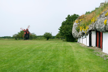 Laesoe / Denmark: Typical small post windmill with red wings next to an old half-timbered farmhouse thatched with a seaweed roof