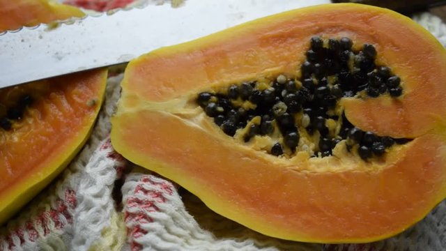 Papaia Papaija パパイア Папайя פפאיה ft81120101 Papaya video &Pi;&alpha;&pi;ά&gamma;&iota;&alpha; Papaina Papayer 
