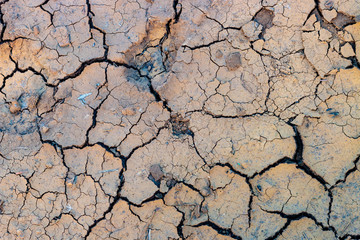 Mud texture 001