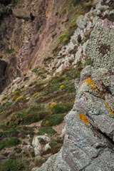 coast in brittany